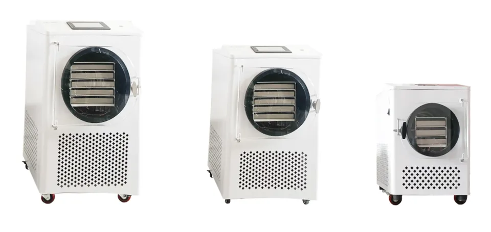Home Freeze Dryer: Preserve Food Like NASA | Long-Term Storage Solution