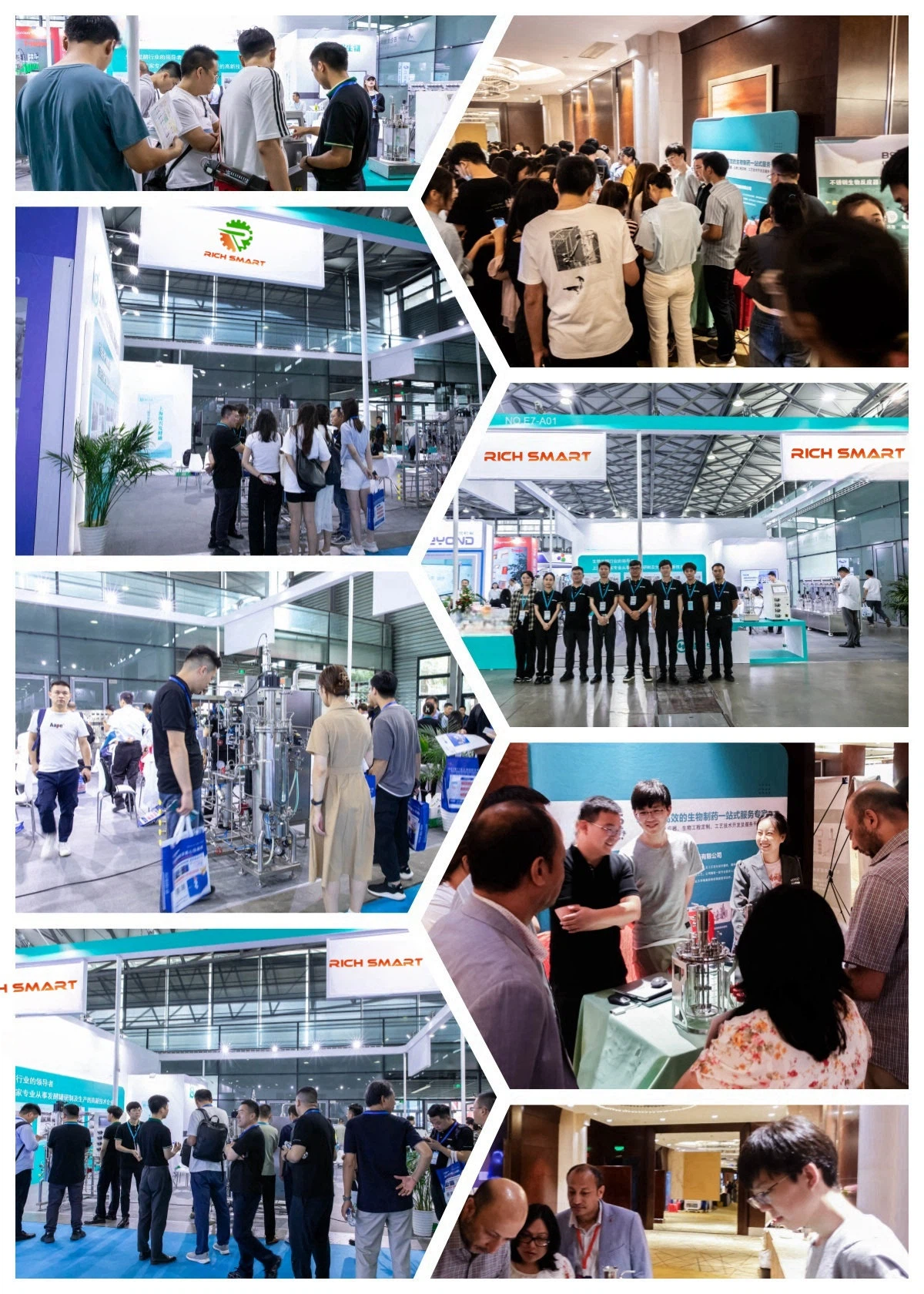 Exhibition 1001